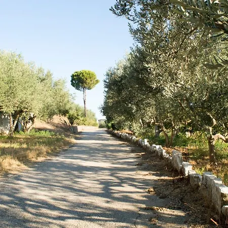 Nature ホテル Kolonjë