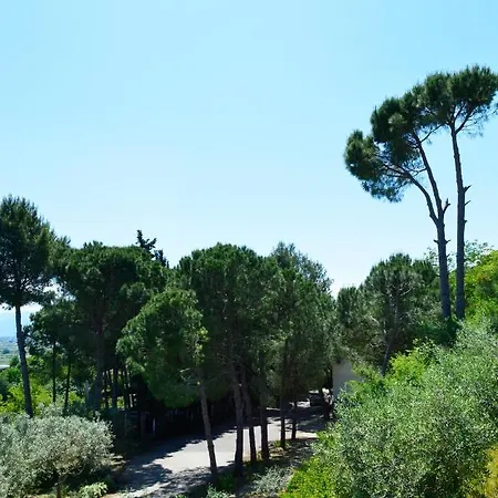 Nature ホテル Kolonjë