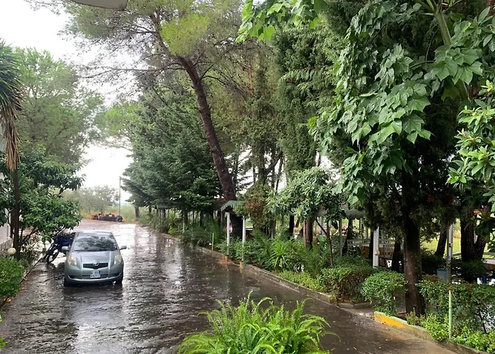 Nature Hotel 3*