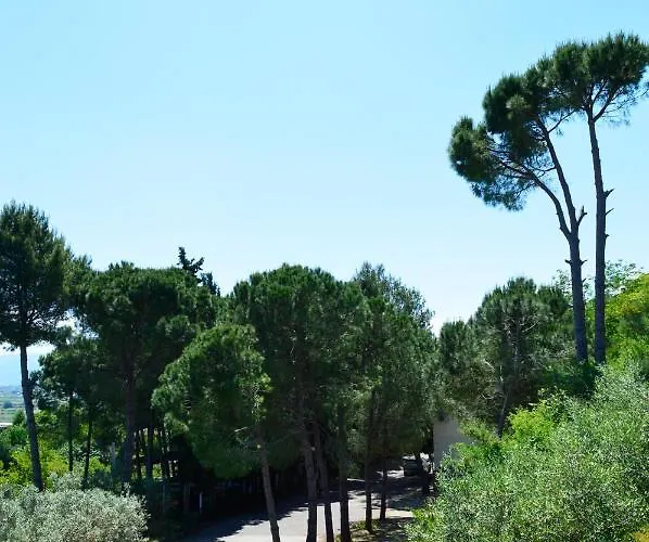 Nature Hotel Kolonje (Fier)
