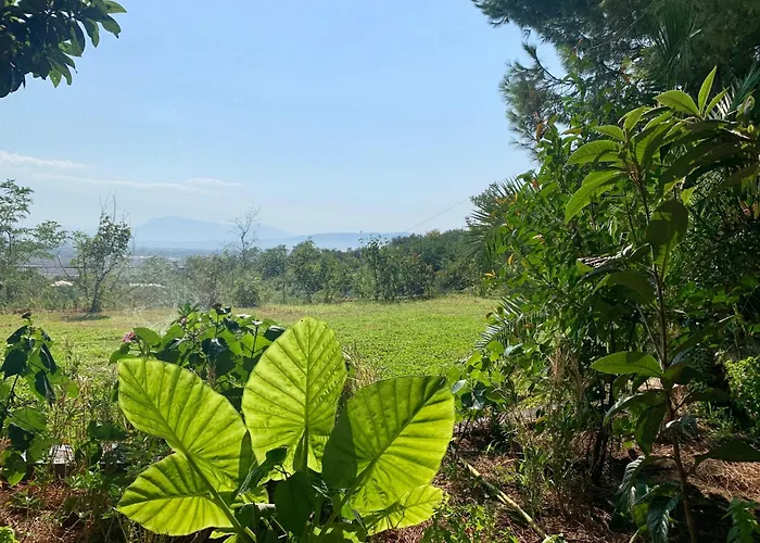 Nature 3* Kolonje (Fier)