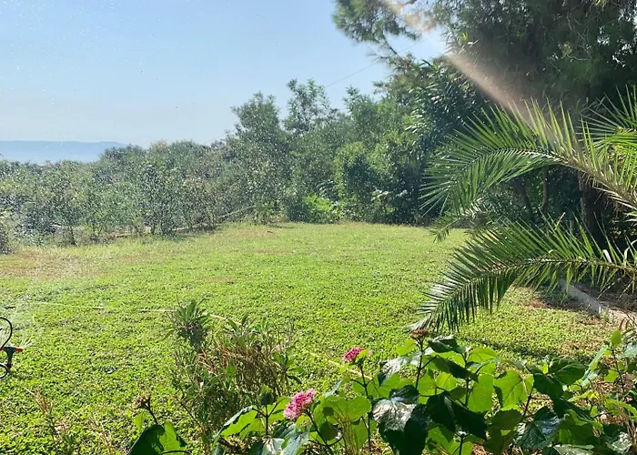 Nature Kolonje (Fier)