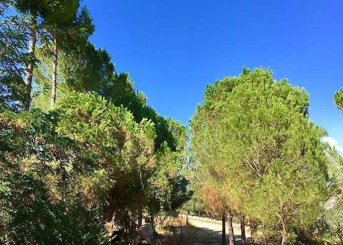 Nature Kolonje (Fier)