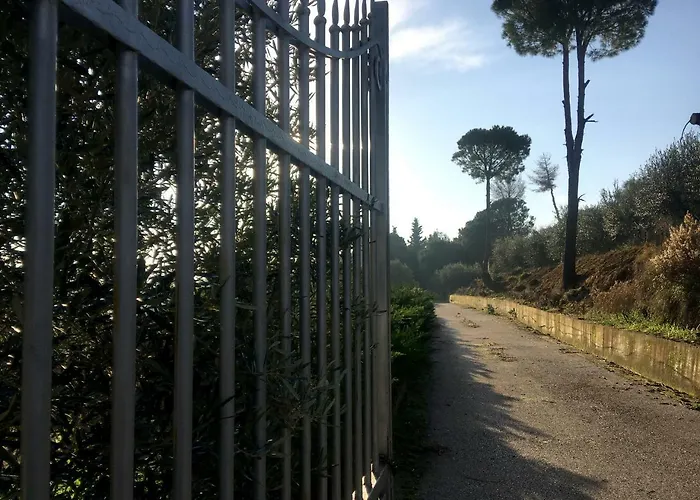 Nature 3*