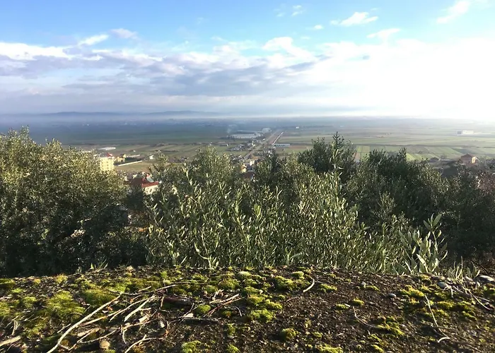 Nature Hotel Kolonje (Fier)