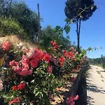 Nature Kolonje (Fier)