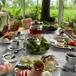 Nature Отель 3*