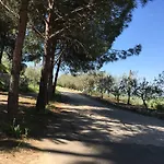 Отель Nature