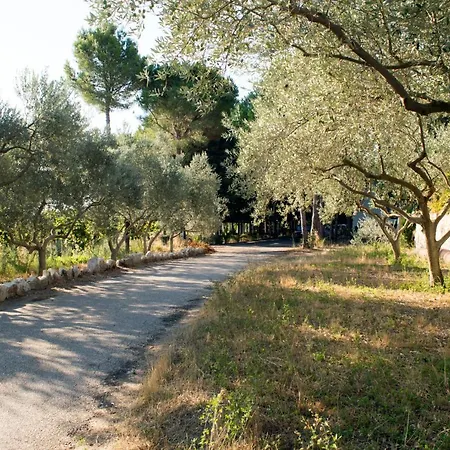 Nature 호텔 Kolonje (Fier)