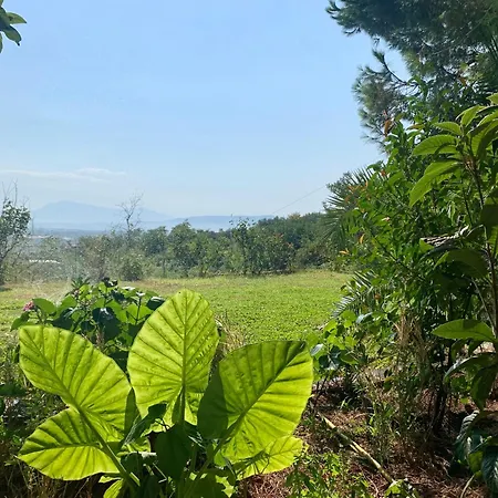 Nature 3* Kolonjë
