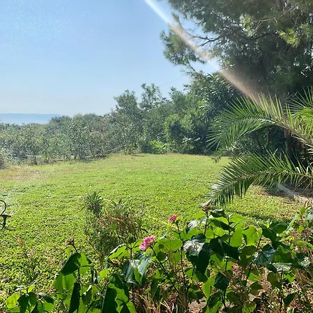 Nature Kolonjë