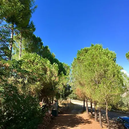 Nature Kolonjë