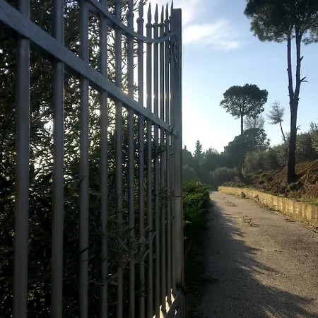 Nature 3*