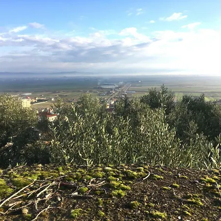 Nature Hotel Kolonje (Fier)