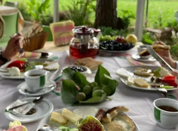 Nature Отель 3*